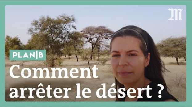 Video Comment arrêter le désert avec la Grande Muraille verte ? #PlanB en español