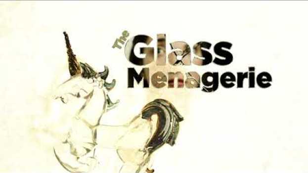 Video The Glass Menagerie Teaser   türkçe
