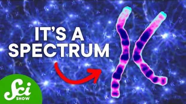 Video Science Proves There are More than Two Human Sexes po polsku
