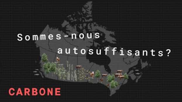Video Carbone | Agriculture : le Canada est-il autosuffisant?   türkçe