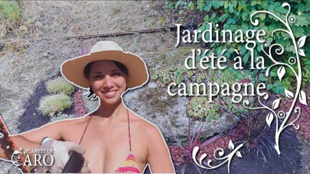 Video Jardinage d'été : je redonne vie au puit en español