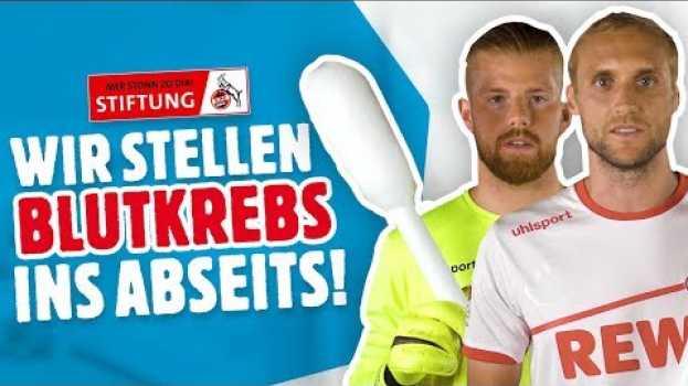 Video DKMS und die Stiftung 1. FC Köln: Wir stellen Blutkrebs ins Abseits! | DKMS Deutschland em português