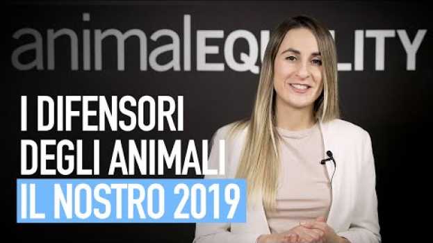 Video Il 2019 di Animal Equality: il lavoro dei Difensori degli Animali po polsku