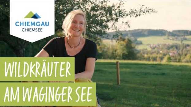 Video Kräuterwanderung am Waginger See en español