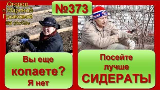 Video ГОРЧИЦА - сидерат. Вы еще копаете? Я нет уже 5-ый год! Лучше посеять СИДЕРАТЫ! su italiano
