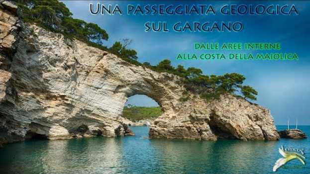 Video Geologia del Gargano: dalle aree interne alla costa sud in English