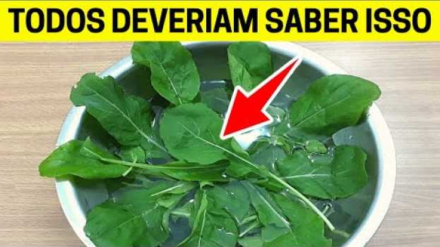 Video Meu Deus Eu Nunca Imaginei que a RÚCULA Poderia Fazer TUDO Isso, Mais SUCO da Rúcula ! auf Deutsch