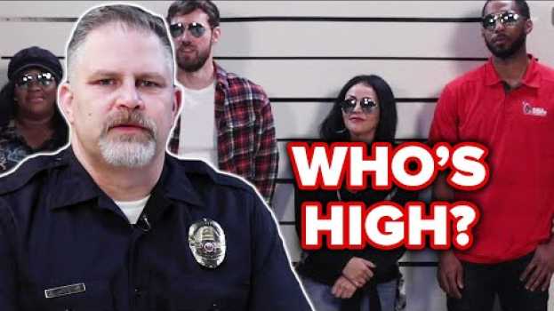 Video Retired Police Officer Guesses Who's High Out Of A Lineup em português