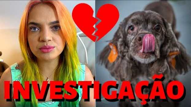 Video NOVAS NOTÍCIAS - ONDE MINHA CACHORRINHA BELLA ESTÁ? auf Deutsch