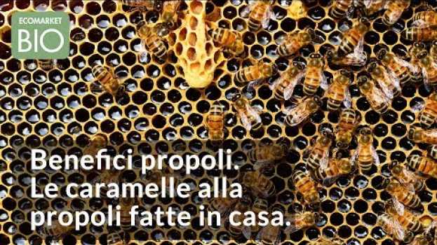 Видео Benefici propoli. Le caramelle alla propoli fatte in casa - EcomarketBio на русском