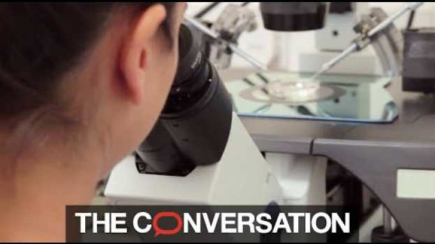 Video How drugs and vaccines are tested and approved   türkçe