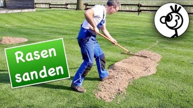 Видео Das BESTE für PERFEKTEN RASEN? Sand! на русском