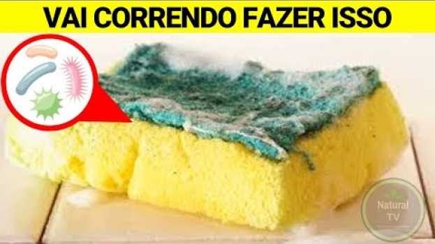 Video Como ELIMINAR GERMES da Esponja de Lavar Louça, Ela Acumula MILHÕES de Fungos e Bactérias Em 15 Dias po polsku