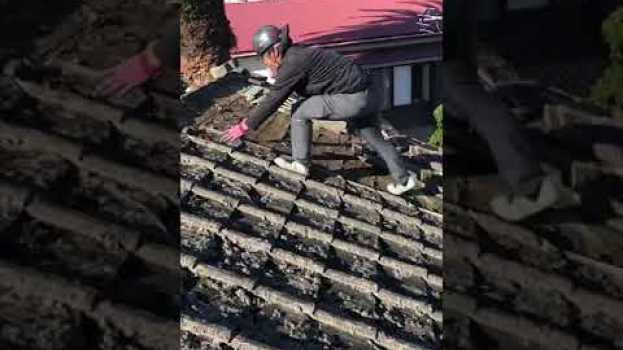 Video    türkçe