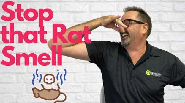 Video Get Rid of That Dead Rat Smell en español
