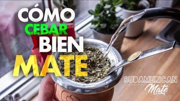 Video Cómo CEBAR bien el Mate   türkçe