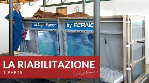 Video La riabilitazione dopo un infortunio (1 parte) auf Deutsch