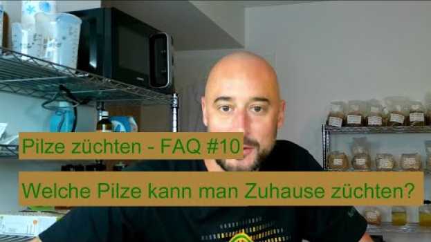 Video Pilze züchten - Welche Pilze kann man Zuhause selber züchten? Pilzzucht FAQ #10 in English