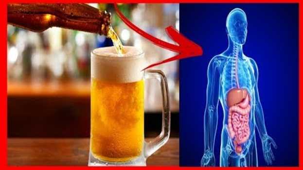 Video ✅Isso é o que Pode Acontecer com seu Corpo Quando Você Toma Cerveja   türkçe