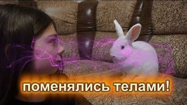 Video Соня и Ляля поменялись телами! Баку заколдовал их! ♥ Nepeta auf Deutsch