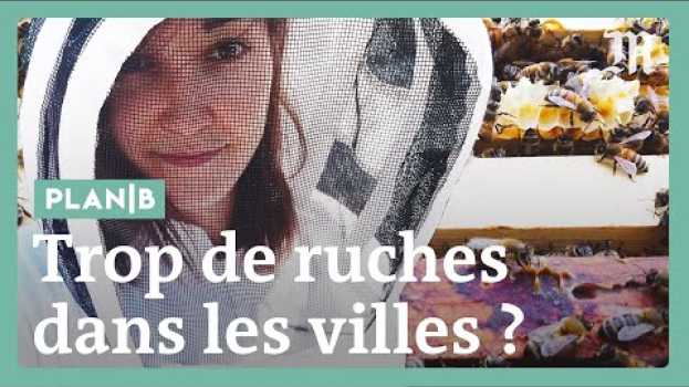 Video Comment la mode des ruches en ville peut se retourner contre les abeilles #PlanB em português