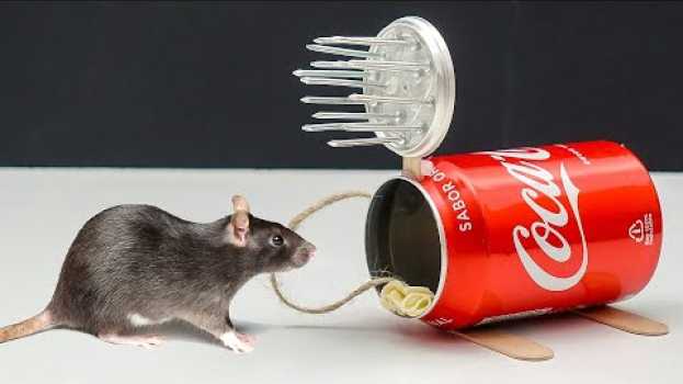 Video La MEJOR MANERA de Deshacerse de las RATAS 🐀😲 en français