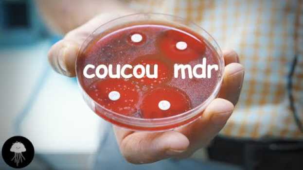 Video Cette lutte microbiologique que nous perdons - DBY #56 auf Deutsch