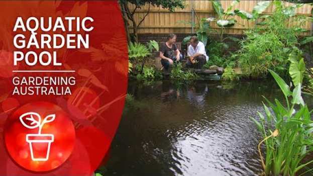 Video Convert your pool into a pond | DIY Garden Projects | Gardening Australia   türkçe