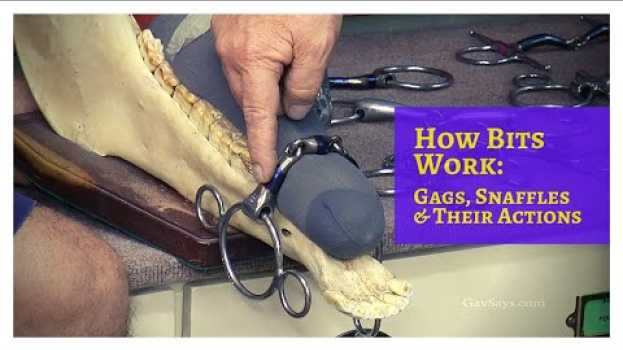 Video How Bits Work: Gags, Snaffles & Their Actions - (& Why a Skull) em português