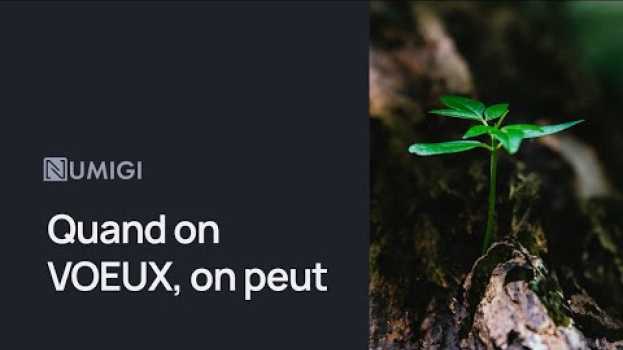 Видео Quand on VOEUX, on peut! La rétrospective Numigi et nos meilleurs voeux pour 2020... на русском