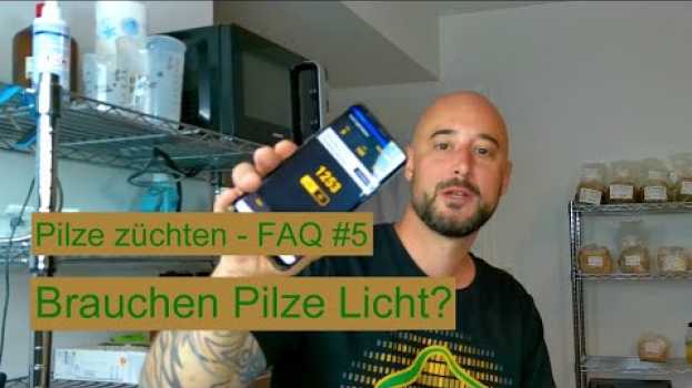 Video Pilze züchten - Brauchen Pilze Licht? Pilzzucht FAQ #5 en español
