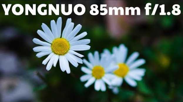 Video Lente Yongnuo 85mm - Review e Comparação com Canon – Será que vale o preço? su italiano