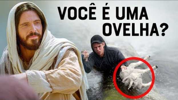 Video VEJA SE VOCÊ É UMA OVELHA DE JESUS (O Que Significa a Parábola da Ovelha Perdida)   türkçe
