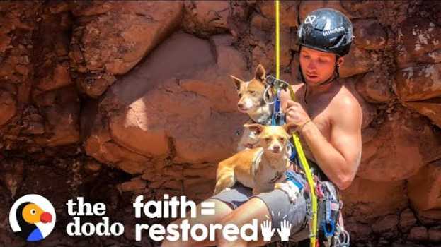 Video Guy Rappels Into Canyon To Save Abandoned Dogs | The Dodo Faith = Restored su italiano