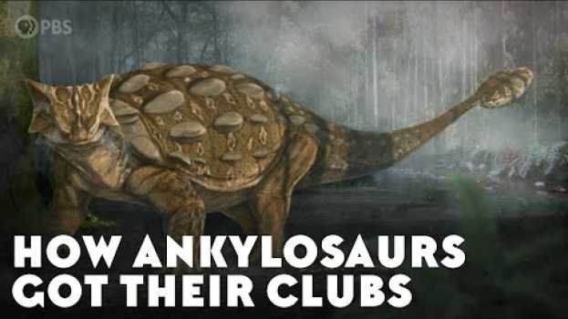 Video How Ankylosaurs Got Their Clubs po polsku