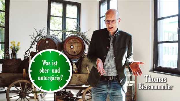 Video Was ist ober- und untergärig? | 1 Minute Bier mit Distelhäuser   türkçe
