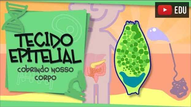 Video Tecido Epitelial - cobrindo nosso corpo auf Deutsch