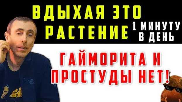 Video ВДЫХАЯ ЭТО  ВСЕГО 1 МИНУТУ В ДЕНЬ ГАЙМОРИТА И ПРОСТУДЫ НЕТ! Если простуда, гайморит - помогает хрен su italiano