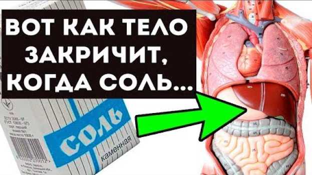 Video ВОТ КАК ТЕЛО КРИЧИТ, если вы едите МНОГО СОЛИ! Здоровье и долголетие   türkçe