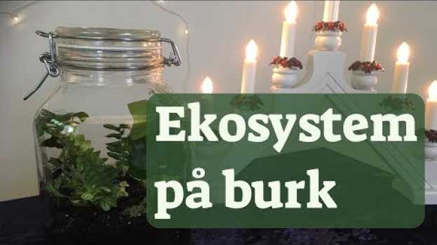 Video  in English