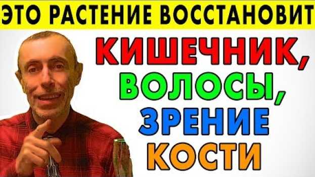 Video ЭТО РАСТЕНИЕ ВОССТАНОВИТ КИШЕЧНУЮ МИКРОФЛОРУ, ВОЛОСЫ, КОСТИ, ЗРЕНИЕ! Тыква рецепты тыквенные семечки en français