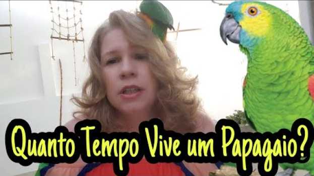 Video Quanto Tempo Vive um Papagaio? en français