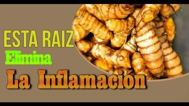 Video Esta Raiz  Elimina La Inflamación El Dolor De Rodillas y Mucho Mas po polsku