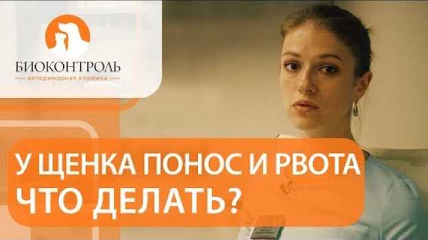 Video 😷  Понос и рвота у щенка: основные причины и способы лечения. Понос и рвота у щенка. 12+ in English