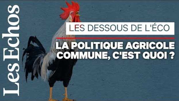 Video Comment la PAC est devenue une usine à gaz   türkçe