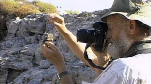 Video Galapagos Finch Evolution — HHMI BioInteractive Video en français