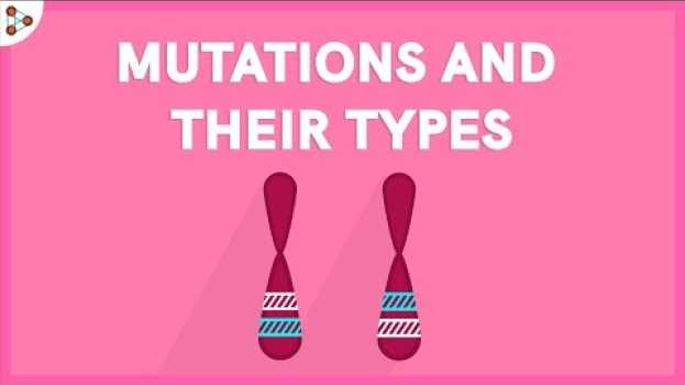 Video Genetics - Mutations and their Types - Lesson 20 | Don't Memorise em português