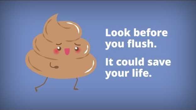 Video Blood in your poop: what it looks like & what it could mean em português