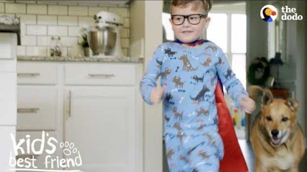 Video Little Boy's Best Friend In The World Is His Rescue Dog | The Dodo Kid's Best Friend en español