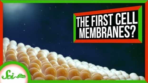 Видео How Cells Got Their Membranes (Maybe) | SciShow News на русском